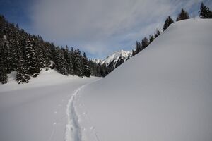 Duisitzkar 2800 2009-02-26.jpg