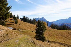 Forchneralm-0056-2021-10-31.jpg