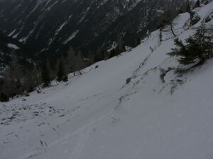 Gamsfeld pietrach 48008 2007-02-01.jpg