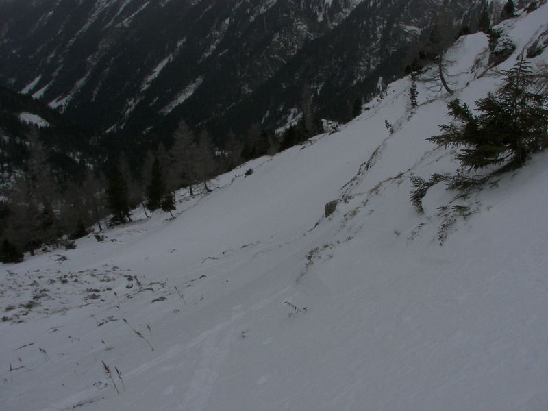 Datei:Gamsfeld pietrach 48008 2007-02-01.jpg