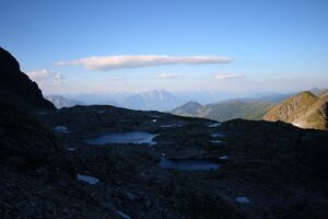 Goldlacken 0417 2008-08-12.jpg