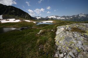 Hüttkarseen im Hüttkar 39445 2012-06-29.jpg