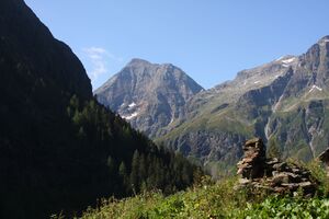Huberalm 2723 2009-08-19.jpg