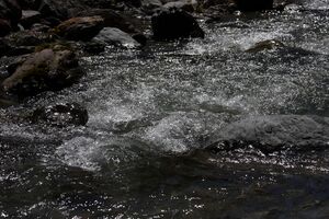 Kalte mandling015.jpg