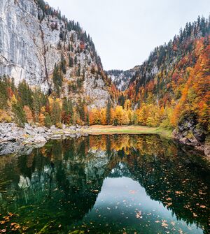 Manuel Capellari CAP2110251600458.jpg