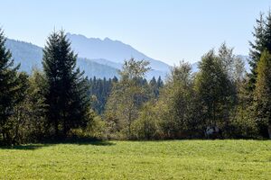 Moor Die Auen furt-0452-2023-09-29.jpg