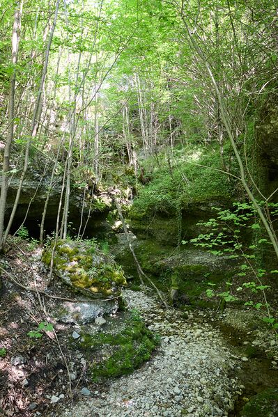 Datei:ND 356 Teichenbach Unterkainisch-0263-2025-05-01.jpg