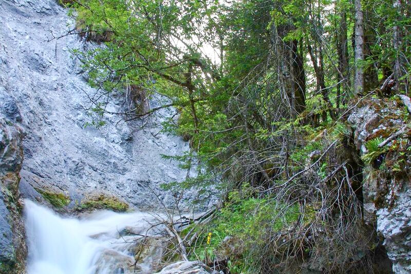 Datei:Rössingbach 1831 13-07-21.jpg