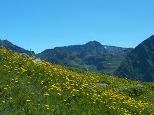 Schattseitn-stegerkar 17714 2006-07-17.jpg