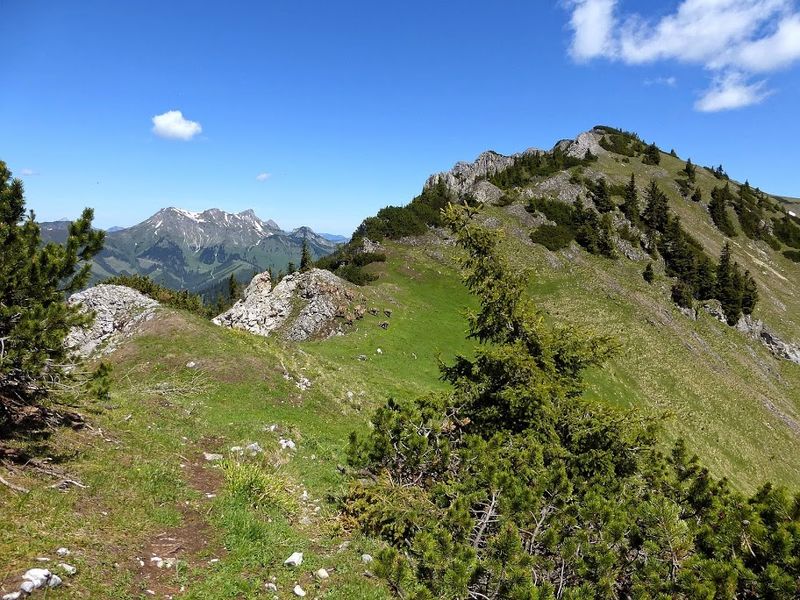 Datei:Steinböcke -Gößeck 60044 2014-06-10.JPG