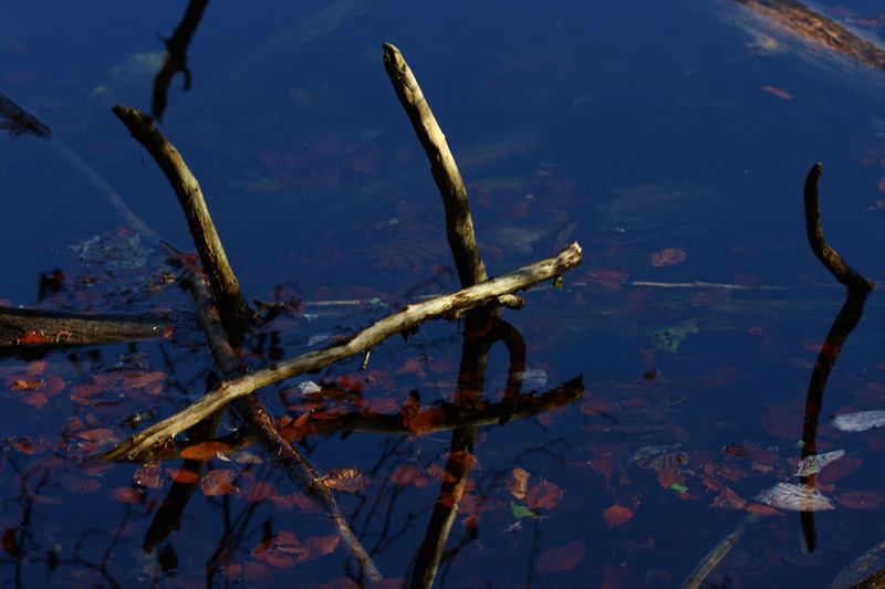 Datei:Toplitzsee 77761 2014-11-03.jpg