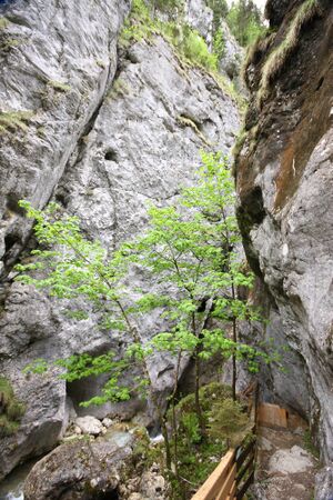 Wörschachklamm6238.jpg