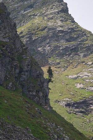 Wildkar 1919 2008-06-26.jpg