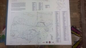 20170501 134240 (2).jpg