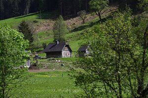 Angereralm-untertal 88753 2015-05-18.jpg