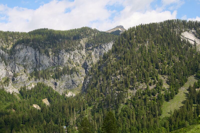 Datei:Bärofen gnanitz-10-2024-06-05.jpg