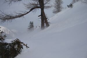 Eiskar obertal 3337 2013-02-11.jpg