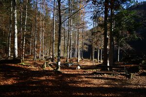 Fischerhütte toplitzsee 77839 2014-11-03.jpg