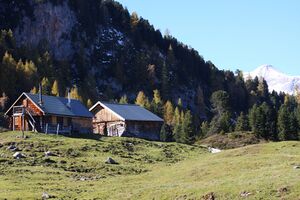 Grafenbergalm 1267 11-10-17.jpg