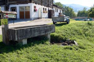 Ringlerhof michaelerberg Ost-0053-2023-08-14.jpg