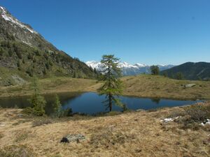 Schobersee 1372 2007-05-19.jpg