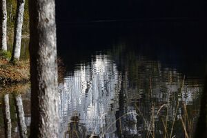 Toplitzsee 77800 2014-11-03.jpg