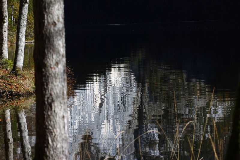 Datei:Toplitzsee 77800 2014-11-03.jpg