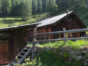 Unt weitgaßalm 19460 2007-05-25.jpg