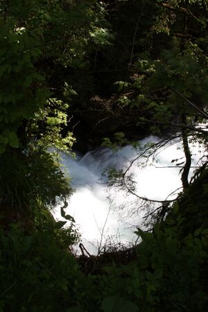 Untertalbach 2182 2009-05-29.jpg