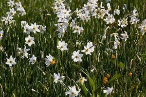 BH schlagerbauer-0281-2022-05-18.jpg