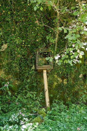 BST Brunntaler Frenzgraben-0254-2025-09-15.jpg