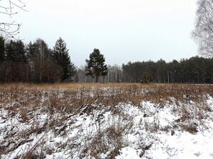 Ennsau Wörschach010837.JPG