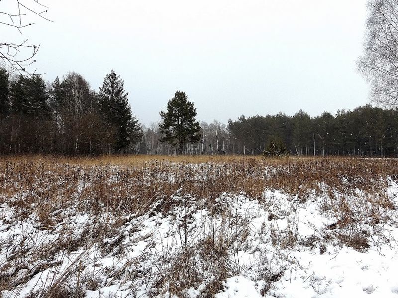 Datei:Ennsau Wörschach010837.JPG