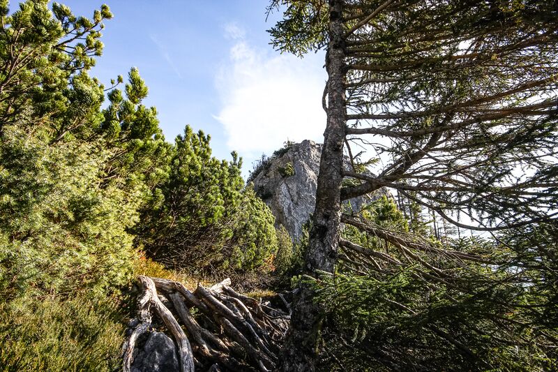 Datei:Feiglstein 37313 2016-11-23.jpg