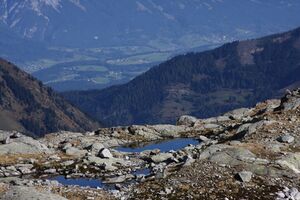 Goldlacken 0390 2013-10-08.jpg