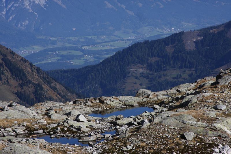 Datei:Goldlacken 0390 2013-10-08.jpg