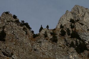 Grimmingscharte 37465 2016-11-24.jpg