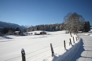 Haslehnerhof ramsau 17105 2016-01-18.jpg