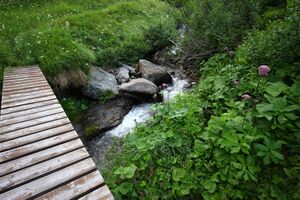 Mößnakarbach 1300 13-07-12.jpg