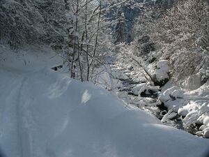 Talbachklamm 05-02-04 7950.jpg