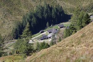 Tuchmoaralm 0140 13-09-05.jpg