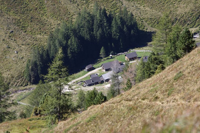 Datei:Tuchmoaralm 0140 13-09-05.jpg