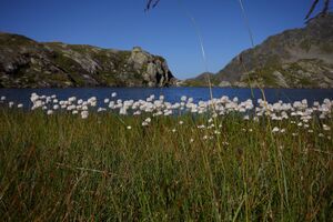 Wildlochsee 35727 2011-08-23.jpg