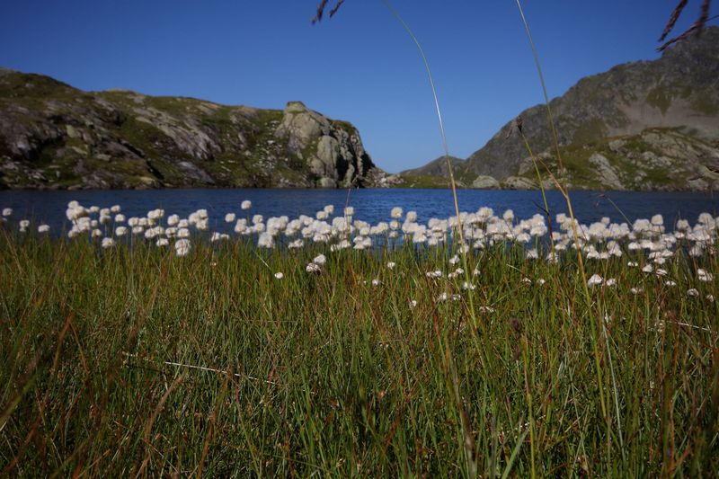 Datei:Wildlochsee 35727 2011-08-23.jpg