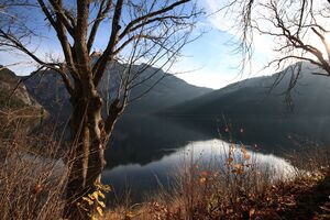 Altausseersee 79307 2014-11-15.jpg