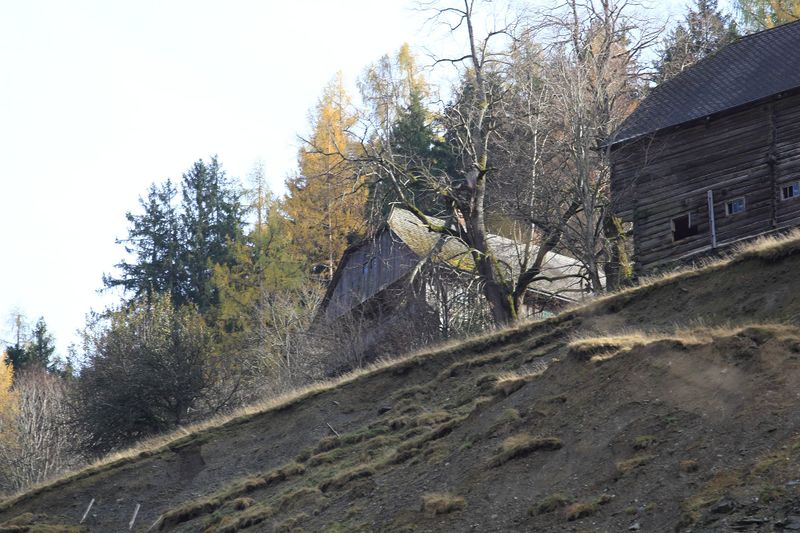 Datei:Bereitermittereggta 63355 2017-11-02.jpg