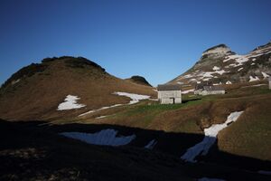 Bräuningalm 50190 2017-06-11.jpg