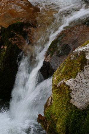 Feisterbach 1141 2008-04-17.jpg