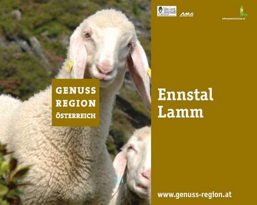 Genuss Region Ennstal Lamm.jpg