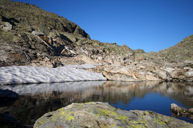 Datei:Goldlacken 24241 2008-08-12.jpg